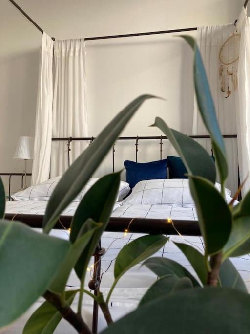 Utulny A Moderny Atelier S Terasou * Bratislava